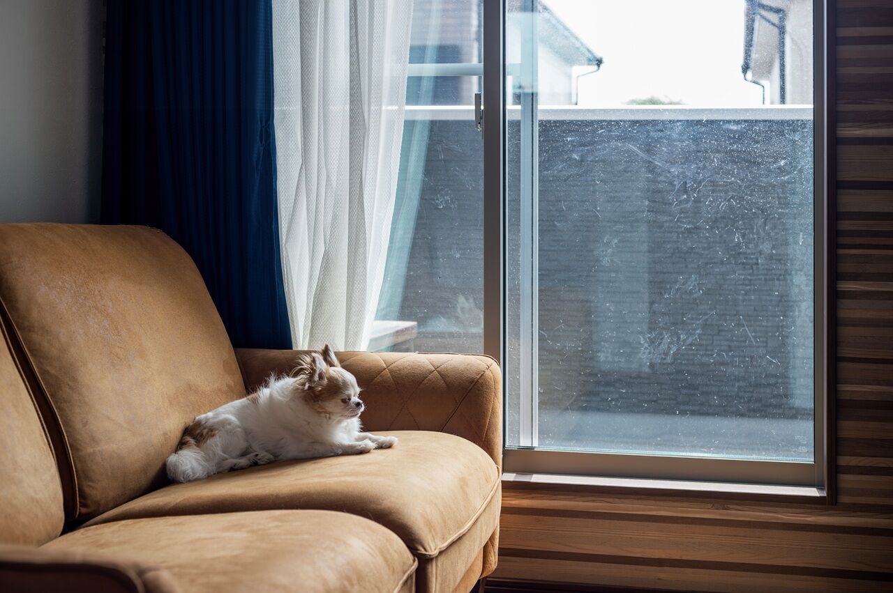 サンクスホーム 【1000万円台×二世帯｜間取り図有】ご家族三世代がちょうどいい距離感を保ちながら暮らせる家の建築実例画像9