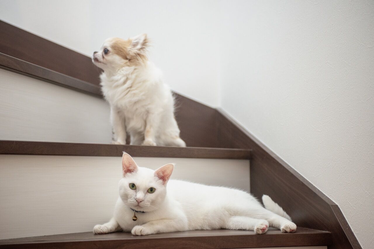 サンクスホーム 【1000万円台×二世帯｜間取り図有】ご家族三世代がちょうどいい距離感を保ちながら暮らせる家の建築実例画像10