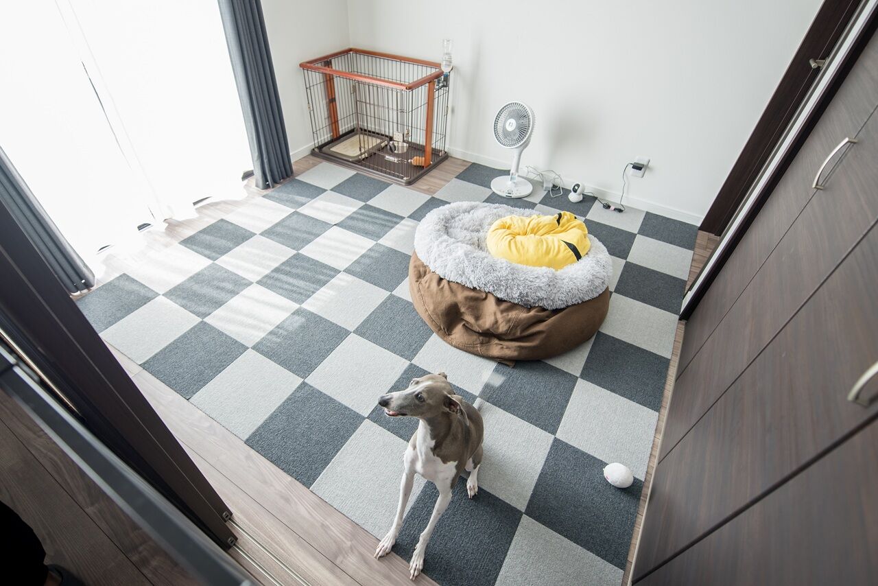 サンクスホーム 【1000万円台×シンプルモダン｜間取り図有】「生活のしやすさ」にフォーカスしたシンプルで効率的な住まいの建築実例画像3