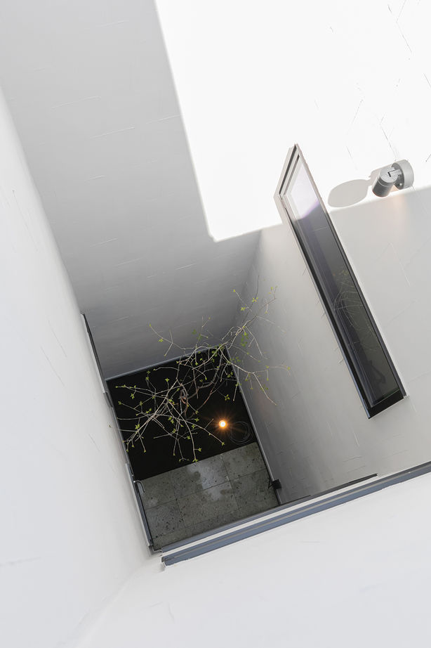 ビー・エル・ビルド　ビルド一級建築士事務所 【4000万円以上/65坪/ビルトインガレージ/車2台/屋上/間取り図】間口の狭い縦長の土地を活かす3階建て住宅の建築実例画像8