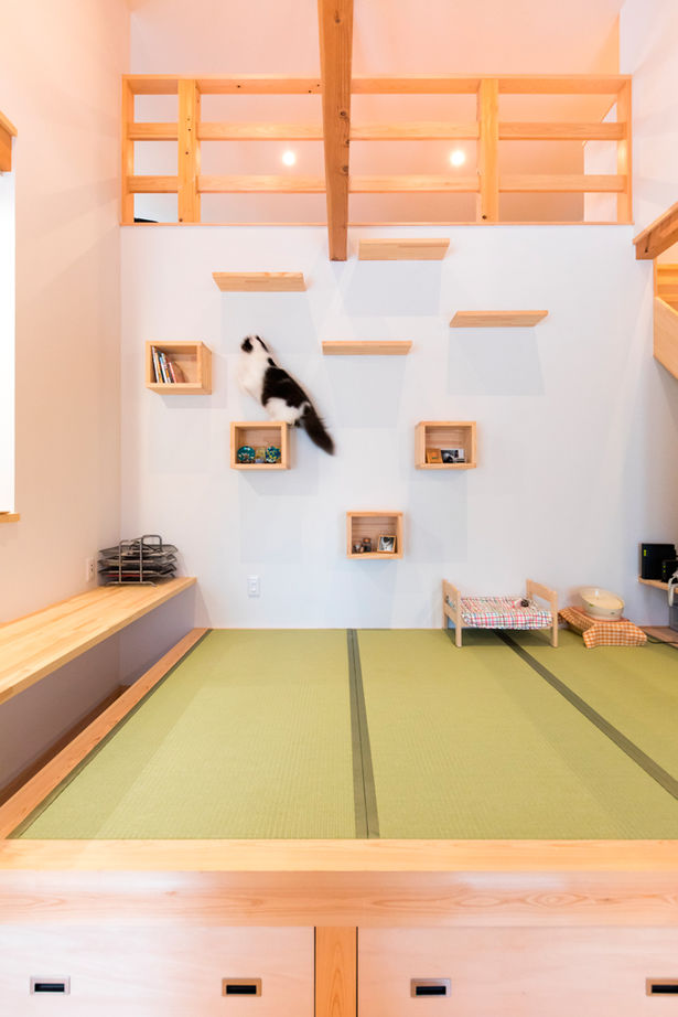 福工房 【2000万円台/平屋/30坪台/3LDK/間取り図/駐車スペース有】ネコもノビノビ暮らす開放感たっぷりの平屋の建築実例画像4