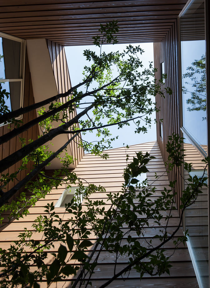 ココカラホーム　（ホームクリーン） 【中庭/旗竿地/建築家と建てる家】変形地に建てた木を囲んだ中庭のある遊び心のある家の建築実例画像10