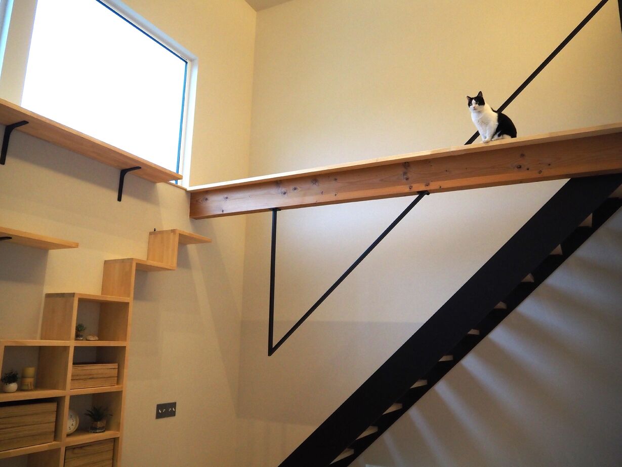 LISTAR HOMEの建築実例画像