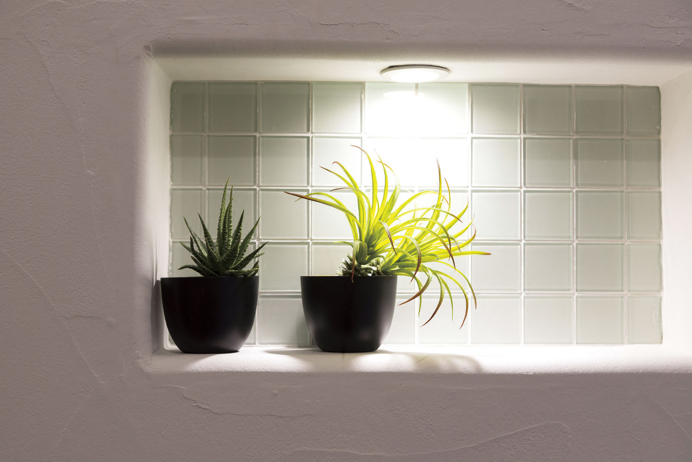 智建ホーム 敷地28坪に自然100％の漆喰。3階建て完全分離の2世帯住宅の建築実例画像6