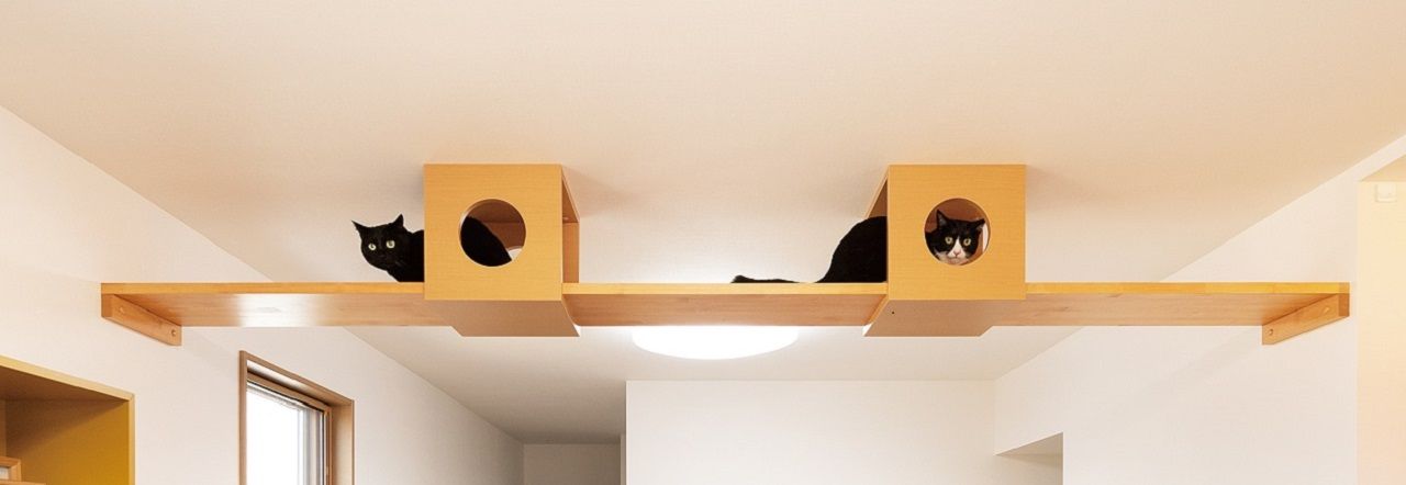 テクノ住研 【2000万円台前半/3階建/間取り図/18坪/狭小/はねだし】揺れに強い鉄骨造で建築。冬でも暖かい断熱性能の建築実例画像5