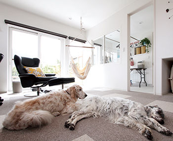 専門職組合 〈札幌市/3LDK間取図/ダブル断熱/収納充実〉ドッグランも併設、回遊動線もばっちり！ペットと暮らす家の建築実例画像2