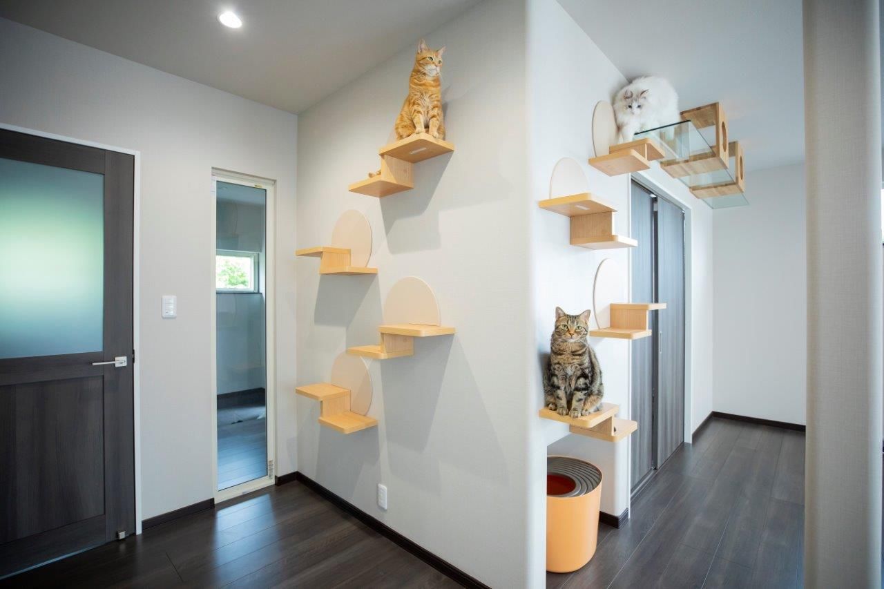 ＩＤ アーキテクチャル アトリエ 【岩見沢市/ペットとの暮らし】猫好きも納得のプラン！猫も人も伸び伸び暮らせるキャットウォークのある家の建築実例画像3