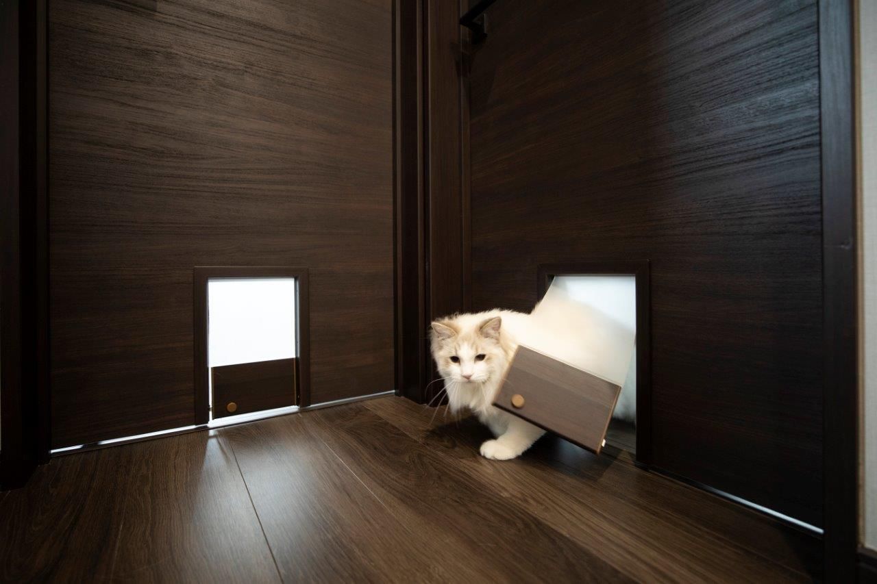 ＩＤ アーキテクチャル アトリエ 【岩見沢市/ペットとの暮らし】猫好きも納得のプラン！猫も人も伸び伸び暮らせるキャットウォークのある家の建築実例画像5