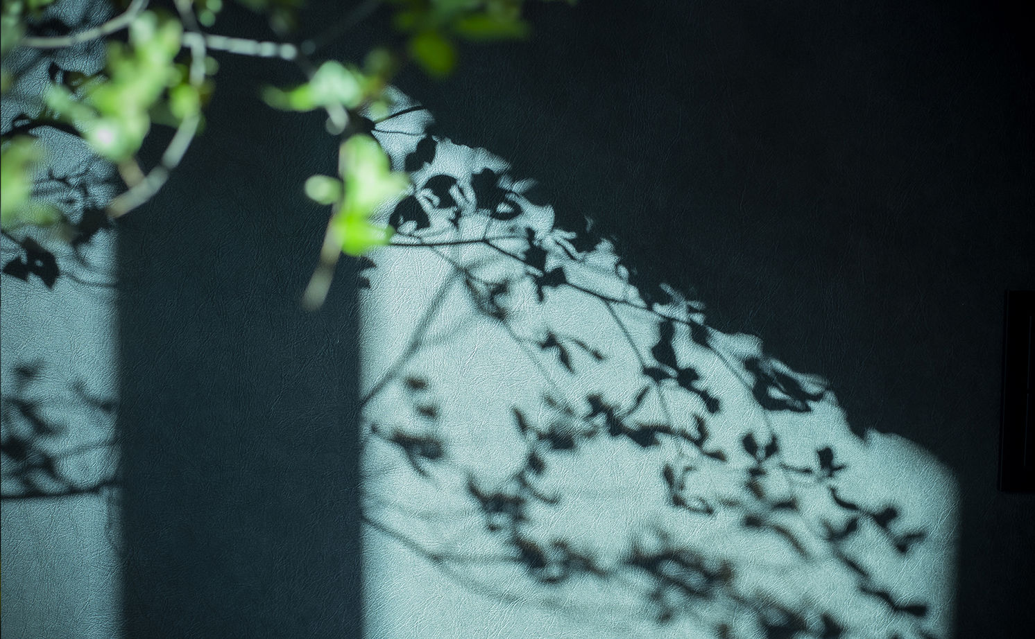 ＩＤ アーキテクチャル アトリエ 始まりは1台のテーブル。要望に応えながら機能的な空間として建てられた事務所兼別荘のような家の建築実例画像10