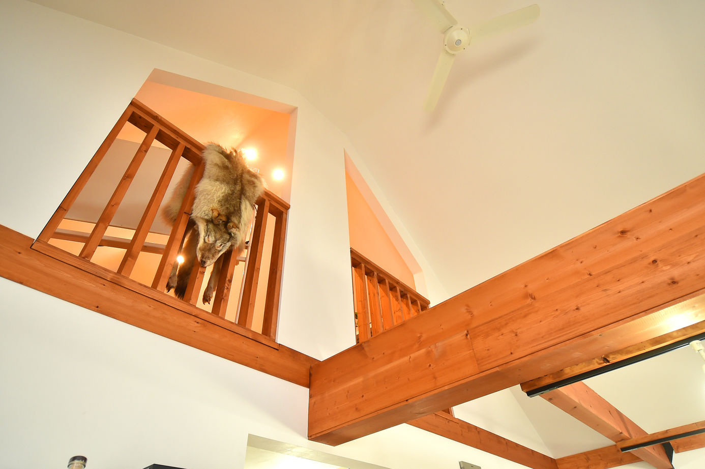 コグマホーム 【2000万円～2500万円台/ 30坪台/2階建て/アメリカンハウス】カバードポーチから庭を眺める店舗併用住宅の建築実例画像6