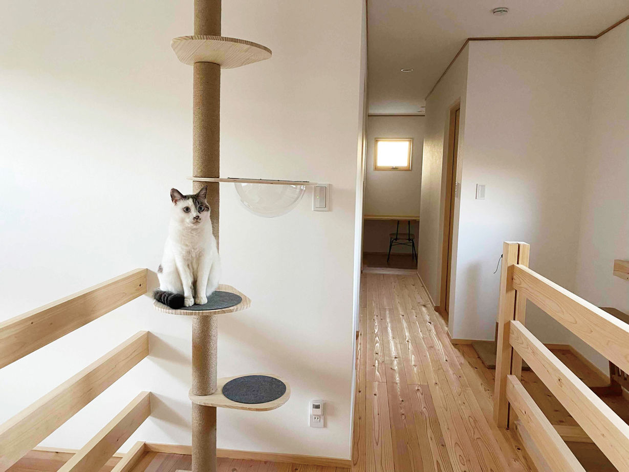 かみえ工務店 【2000万円台】縁側と吹抜けのある優しい空間。ランドリールームの洗濯動線がお気に入りの建築実例画像3