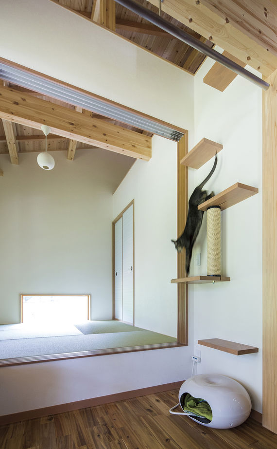 Azuma(吾妻建築店) 【2000万円～2500万円/31.6坪】愛する車をひとつ屋根の下に　『和』の美意識が生きる平屋の建築実例画像10