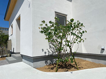 hygge/渡辺工務店 家族がいつまでも健やかに暮らせる、この家から始まるかけがえのない暮らしの建築実例画像10