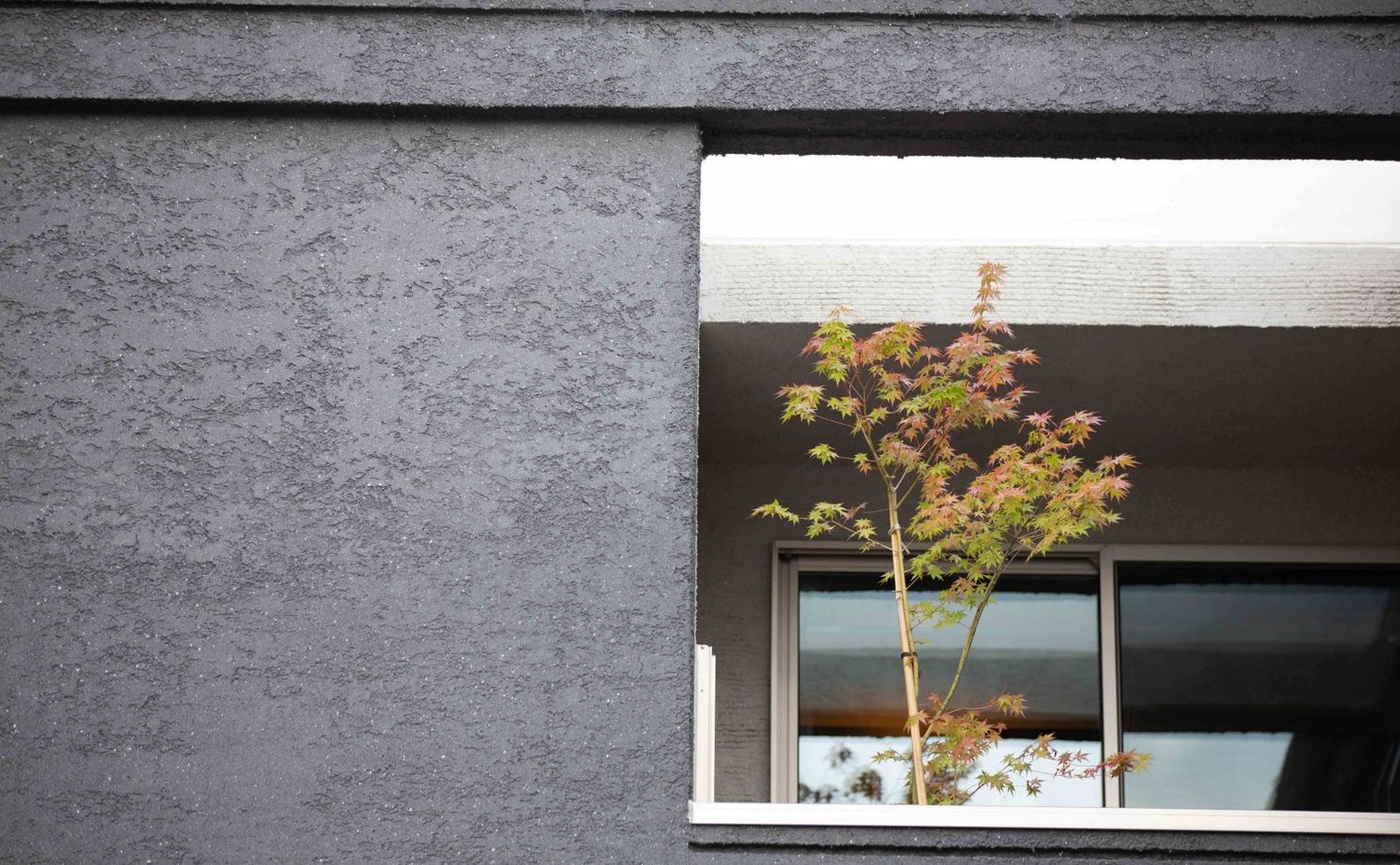 百年住宅 地震など災害への強さや高い住宅性能で、迷いなく依頼を決定。坪庭のモミジが心を和ませる快適な家の建築実例画像14