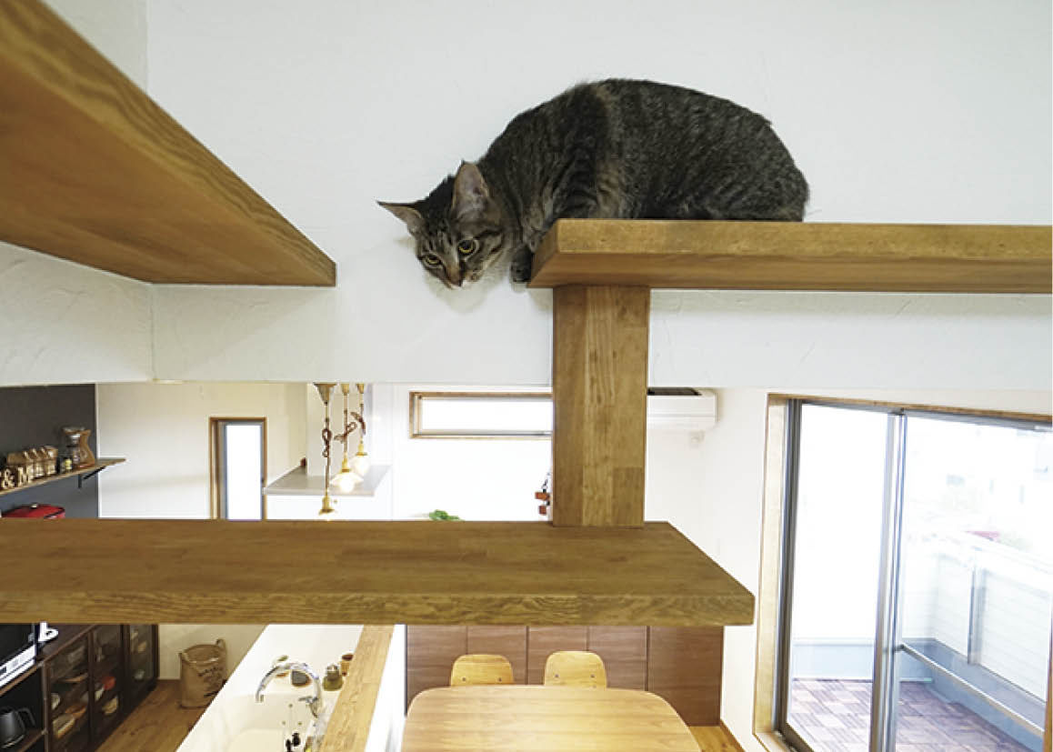 ナカミチホーム 【2000万円台/間取り図有/ペット/二世帯 】ペットと暮らす、こだわりの造作がたくさん詰まった二世帯住宅の建築実例画像5