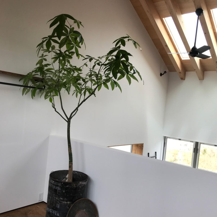 ナカミチホーム 【2000万円台/箕面市/間取り図有/30坪台】アメリカンヴィンテージスタイルで叶えるゆとりある大人の暮らしの建築実例画像11