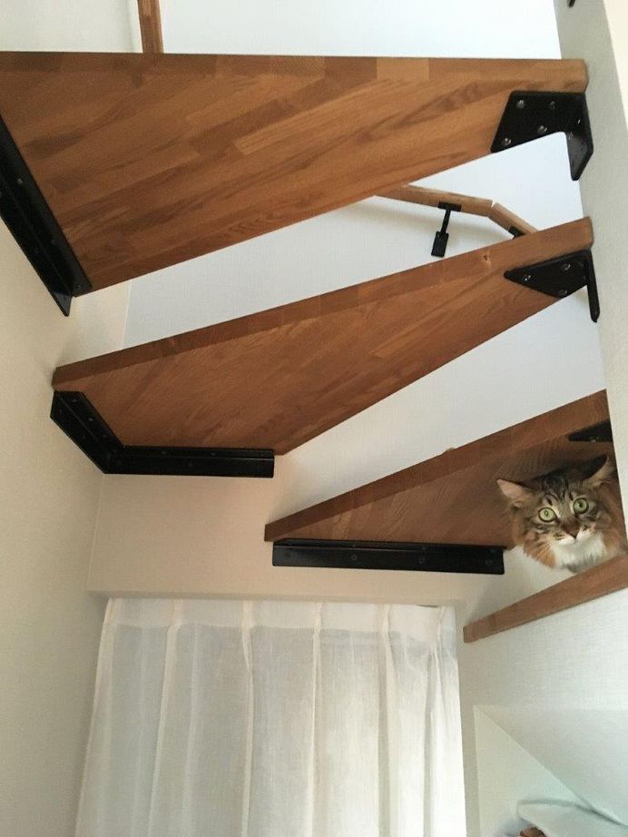 グリートホーム 猫がのびのびと暮らす　眺望自慢の家の建築実例画像5