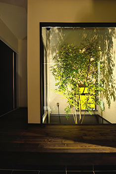 Lib Work 【2000万円台前半／勾配天井／中庭】懐かしくも新しい和モダンの、大人も楽しめる粋な住まいの建築実例画像5