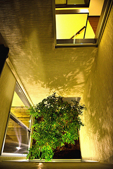 Lib Work 【2000万円台前半／勾配天井／中庭】懐かしくも新しい和モダンの、大人も楽しめる粋な住まいの建築実例画像6