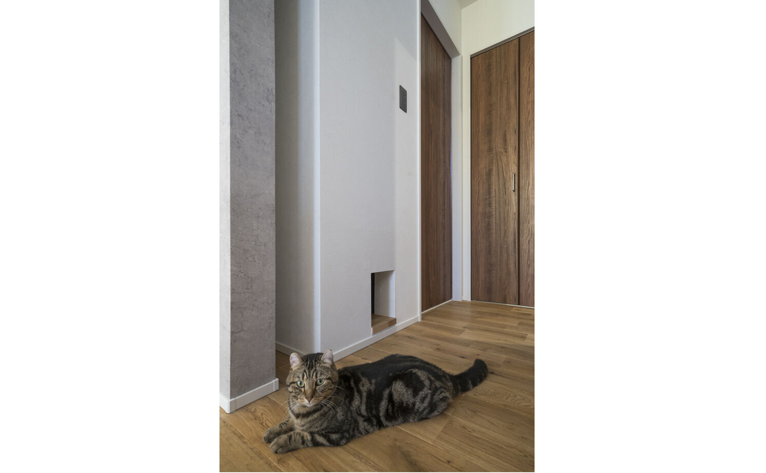 Lib Work 【2000万円台前半／カフェ風／土間】開放的なLDK、中2階、小屋裏スペース…。理想を叶えるアイデア満載の家の建築実例画像10