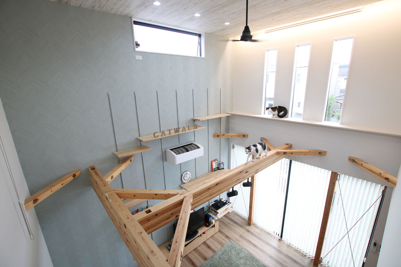 ネクストイノベーション 【2000万円台/30坪台/間取り掲載中/ペット共生住宅】吹き抜けにキャットウォーク。愛猫も喜ぶ光あふれる家の建築実例画像3