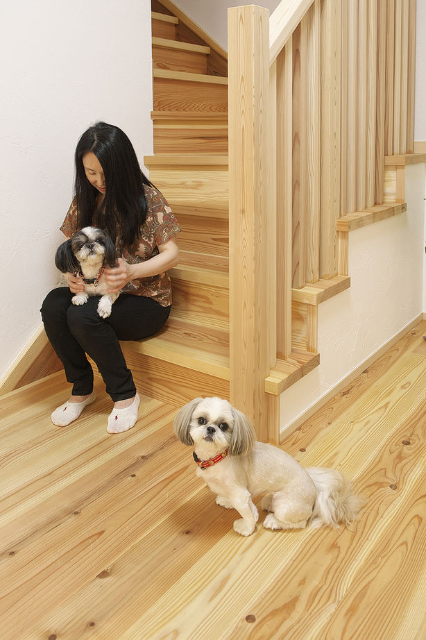 木と漆喰 十津川の家 高槻・池田住宅展示場 【2300万円/間取り有り/摂津市】国産の木とスイス漆喰で北摂・駅近で建て替える　高齢の母や愛犬と暮らす家の建築実例画像5