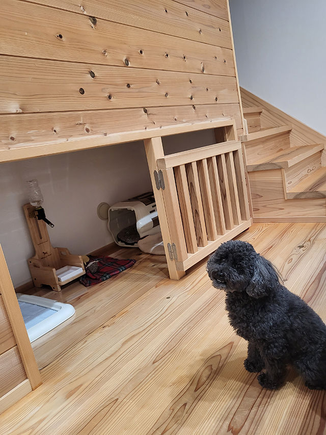 木と漆喰 十津川の家 高槻・池田住宅展示場 【2000万円台/間取り図有り/スキップフロア/高槻市】人にも愛犬にもやさしい「木とスイス漆喰」で建てた家の建築実例画像9