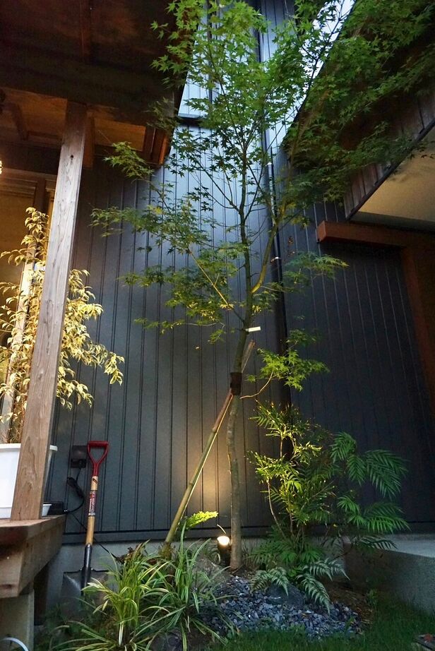 熊木建築事務所 古建具や古材を取り入れ、豊かに住まう家の建築実例画像5