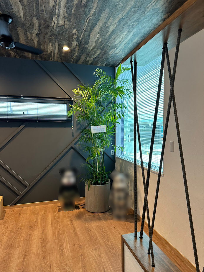 display/RIKIRYOU HOUSING 【岩手県/長期優良住宅/50坪/ガレージハウス】中二階のある家の建築実例画像4