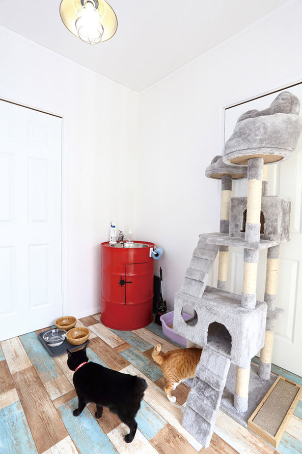 セルコホーム福岡西・宗像（福岡住宅） 猫5匹、犬２匹と暮らす平屋のハワイ風ガレージハウスの建築実例画像5