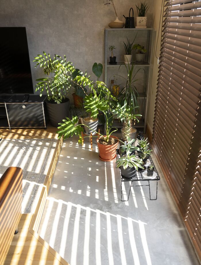 ファーストステージ　一級建築士事務所 【平屋31坪｜生活・プライべート空間を分けた間取り｜植物と暮らす土間空間】憧れをカタチにした勾配天井の建築実例画像6