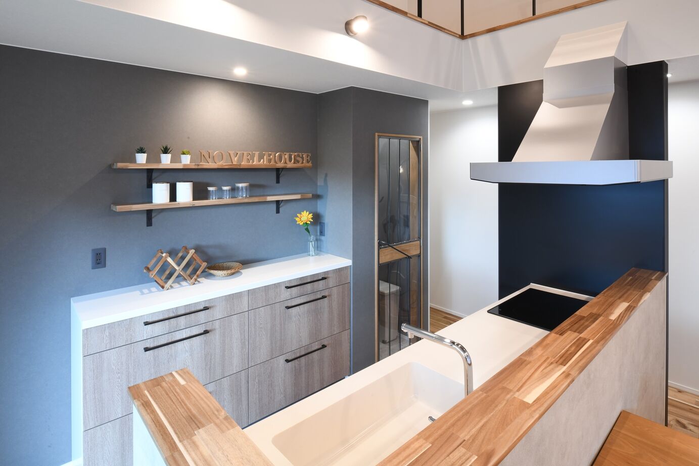 NOVEL  HOUSE 愛犬と暮らす吹き抜けの家の建築実例画像4