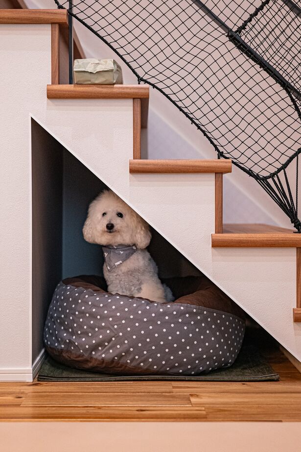 NOVEL  HOUSE 愛犬と暮らす吹き抜けの家の建築実例画像6
