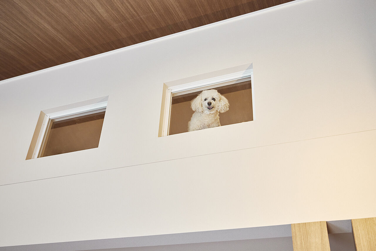 クレバリーホーム/住生活研究所 【平屋×タイル外壁】家族も愛犬も、みんなが暮らしやすい。家事ラクも叶えたタイル外壁の平屋の建築実例画像3