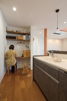 アルネットホーム 【間取り有】「デッキや庭で仲間とBBQ!」平屋風2階建てを実現し、自然を感じながら愛猫との暮らしを楽しむの建築実例画像6