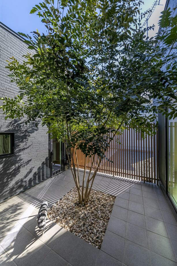 アルネットホーム 【間取り有】2つの庭を持つ開放的なコの字型の平屋。愛猫とのんびり過ごす日々の建築実例画像6