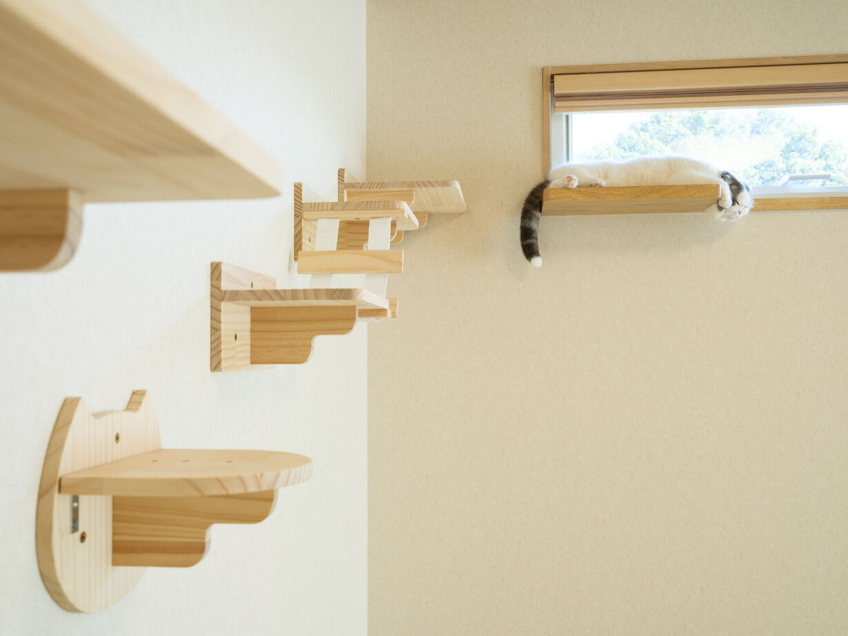 アルネットホーム 【間取り有】猫も人もあたたかく包むやさしい極暖の家の建築実例画像4