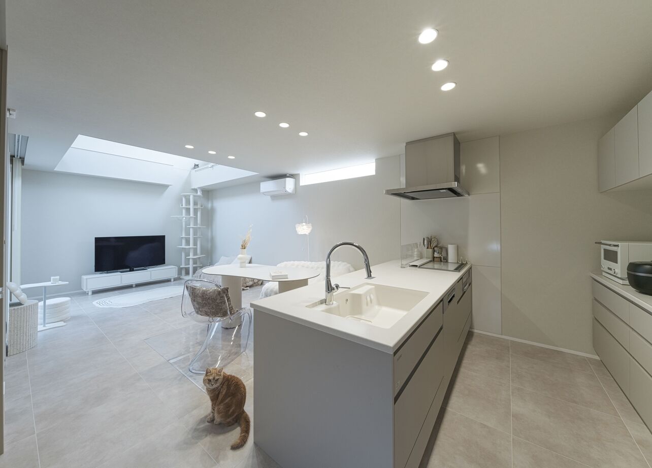 アルネットホーム 【間取り有】中庭の光で猫と日向ぼっこ　まるで美術館な白い邸宅の建築実例画像5