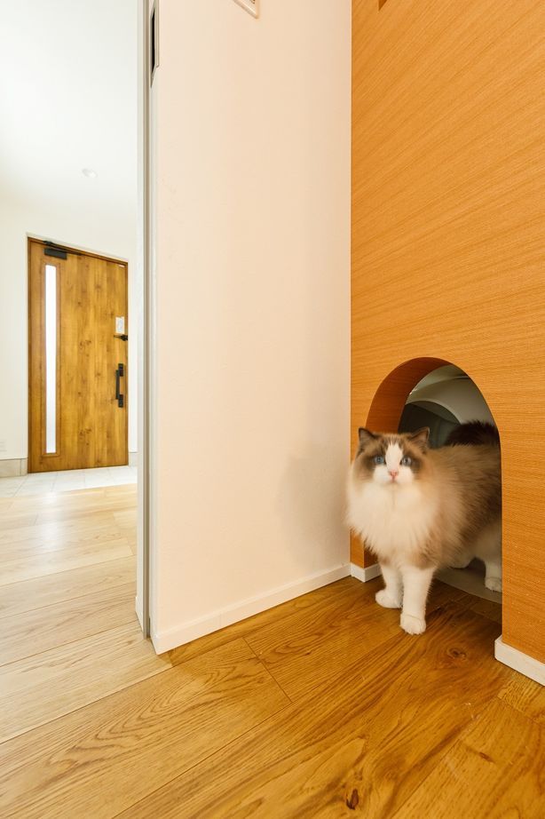 ビクトリーホーム 【2000万円台/キャットドア/バルコニー】猫と暮らす。広いリビングと吹き抜けの中庭がある開放的な注文住宅の建築実例画像5