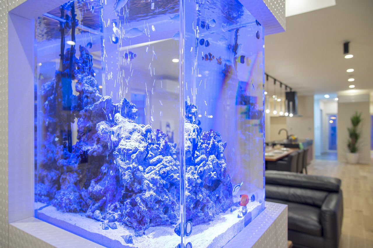 ビクトリーホーム 【8000万円台/ビルトインガレージ/間取り図あり】『非日常』がテーマ。本物のラグジュアリーに癒される。の建築実例画像6