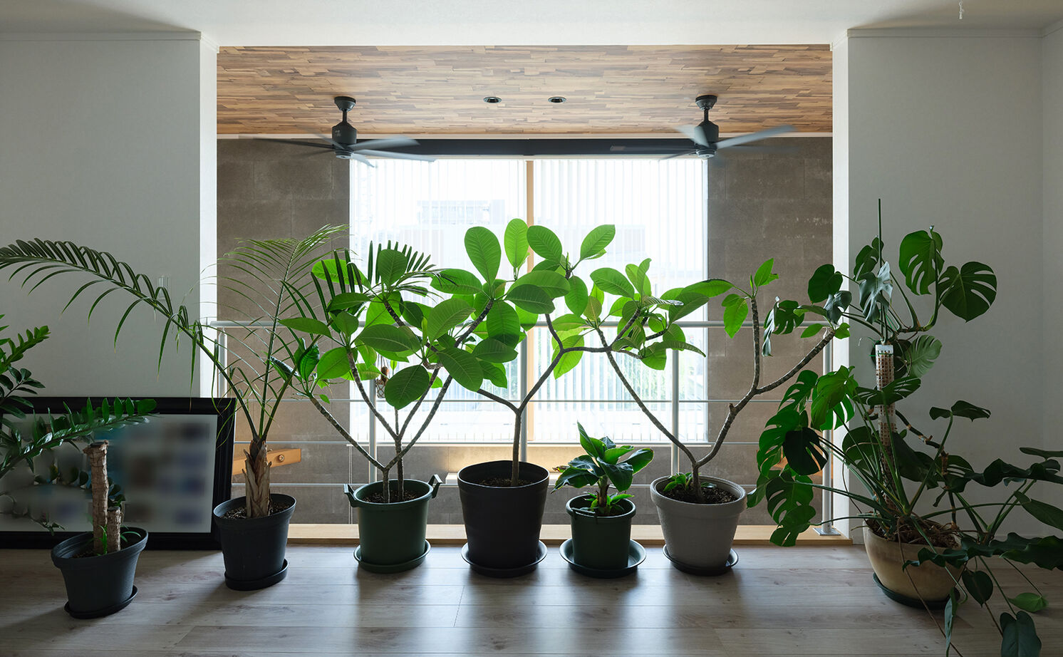 アークホーム　一級建築士事務所 【3000万円台/吹抜け/中庭/間取り図有】ライトコートで内と外をつないだ、自然の心地よさあふれる邸宅の建築実例画像16