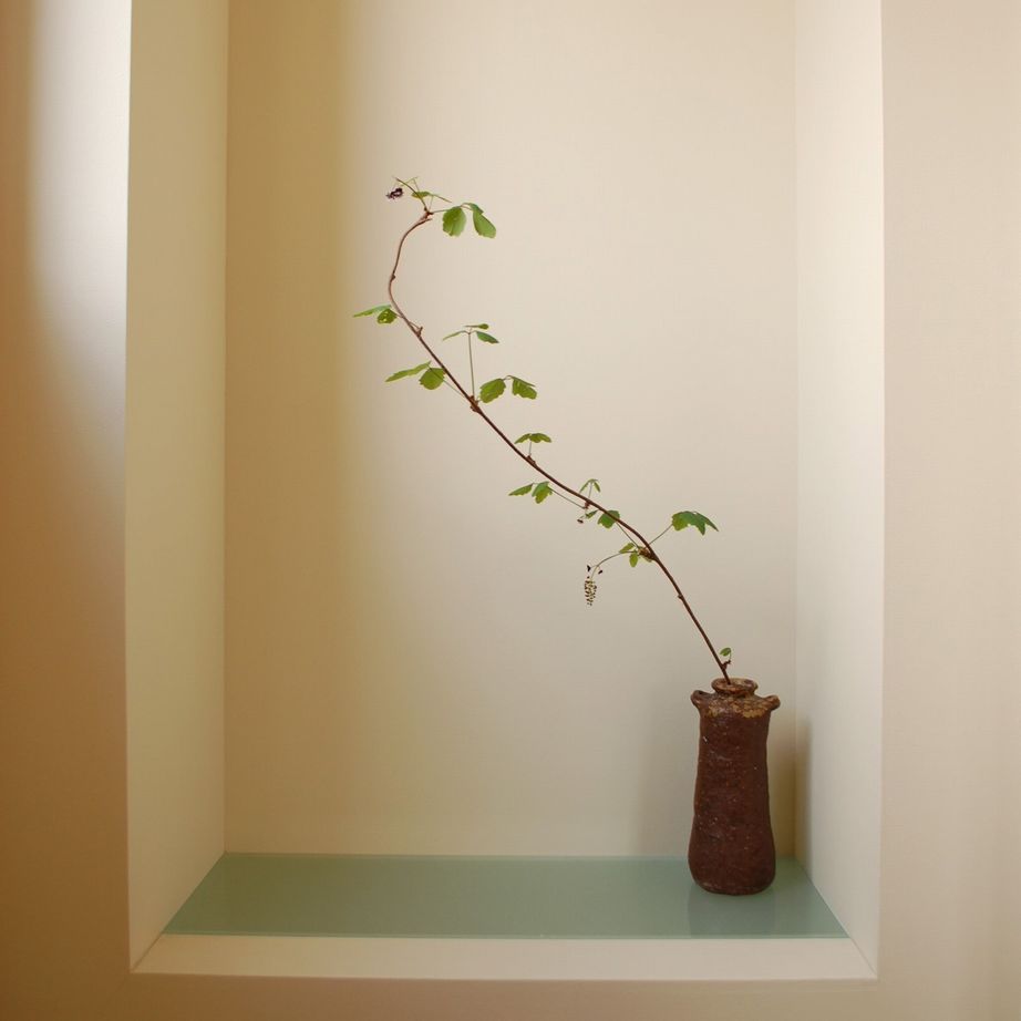 エクリュ 【2000万円台前半/吹き抜け/ロフト/ルーフテラス/大きな窓】「遊び」が活きる空間の建築実例画像7