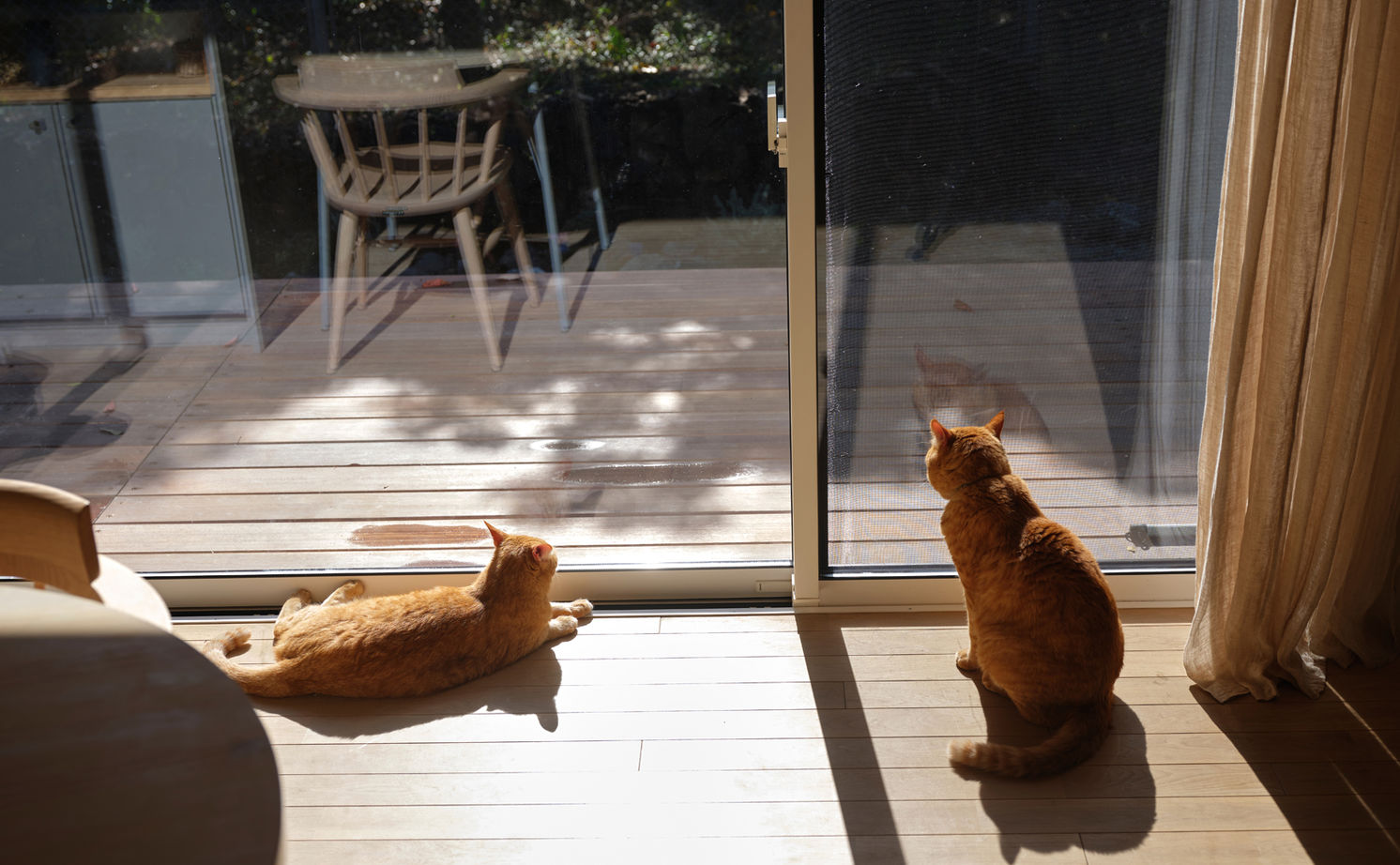 マルマインハウス 【生駒市／2600万円／平屋】21坪で広々と暮らす。「自分たちらしさ」から導かれたコンパクトな大人の住まいの建築実例画像4