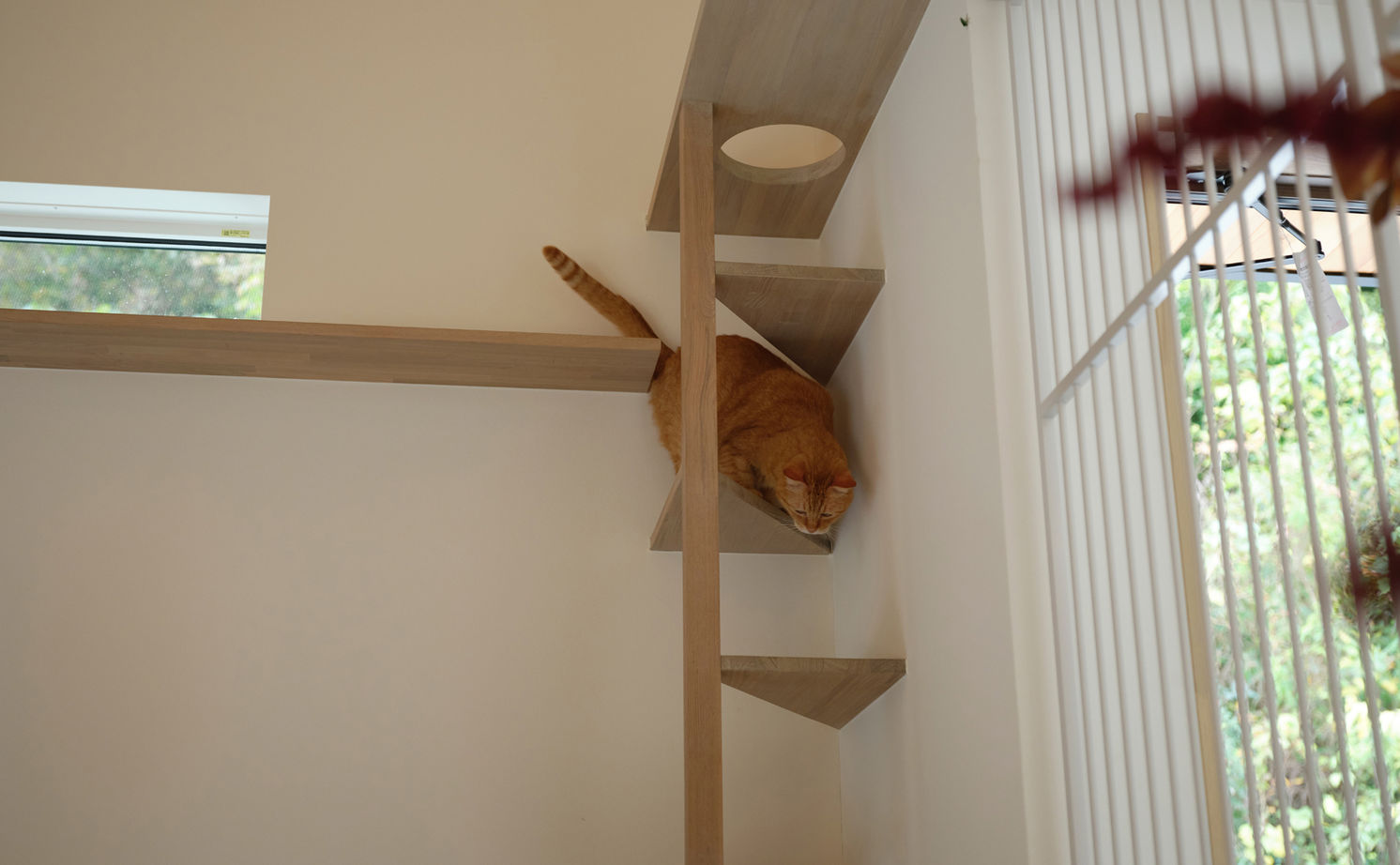 マルマインハウス 【生駒市／2600万円／平屋】21坪で広々と暮らす。「自分たちらしさ」から導かれたコンパクトな大人の住まいの建築実例画像9