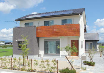 岡本住建 【2000万円台/40坪/耐震住宅工法テクノストラクチャー】太陽光で家計にやさしく採光、通風、収納たっぷりの建築実例画像7