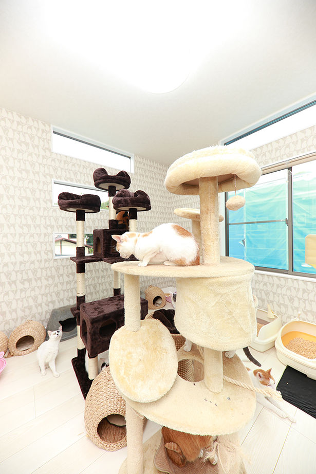 アサヒグローバルホーム 【2000万円台/間取り/ホテルライク】リビングから愛車を眺める、非日常を愉しむガレージハウスの建築実例画像13