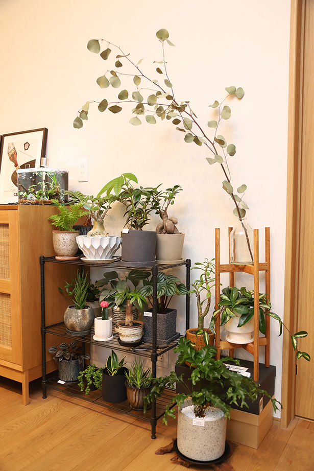 アサヒグローバルホーム 【1000万円台/間取り/坪庭/スタイリッシュ外観】北欧家具×和モダン。どこからでも庭を眺められるL字型の家の建築実例画像16