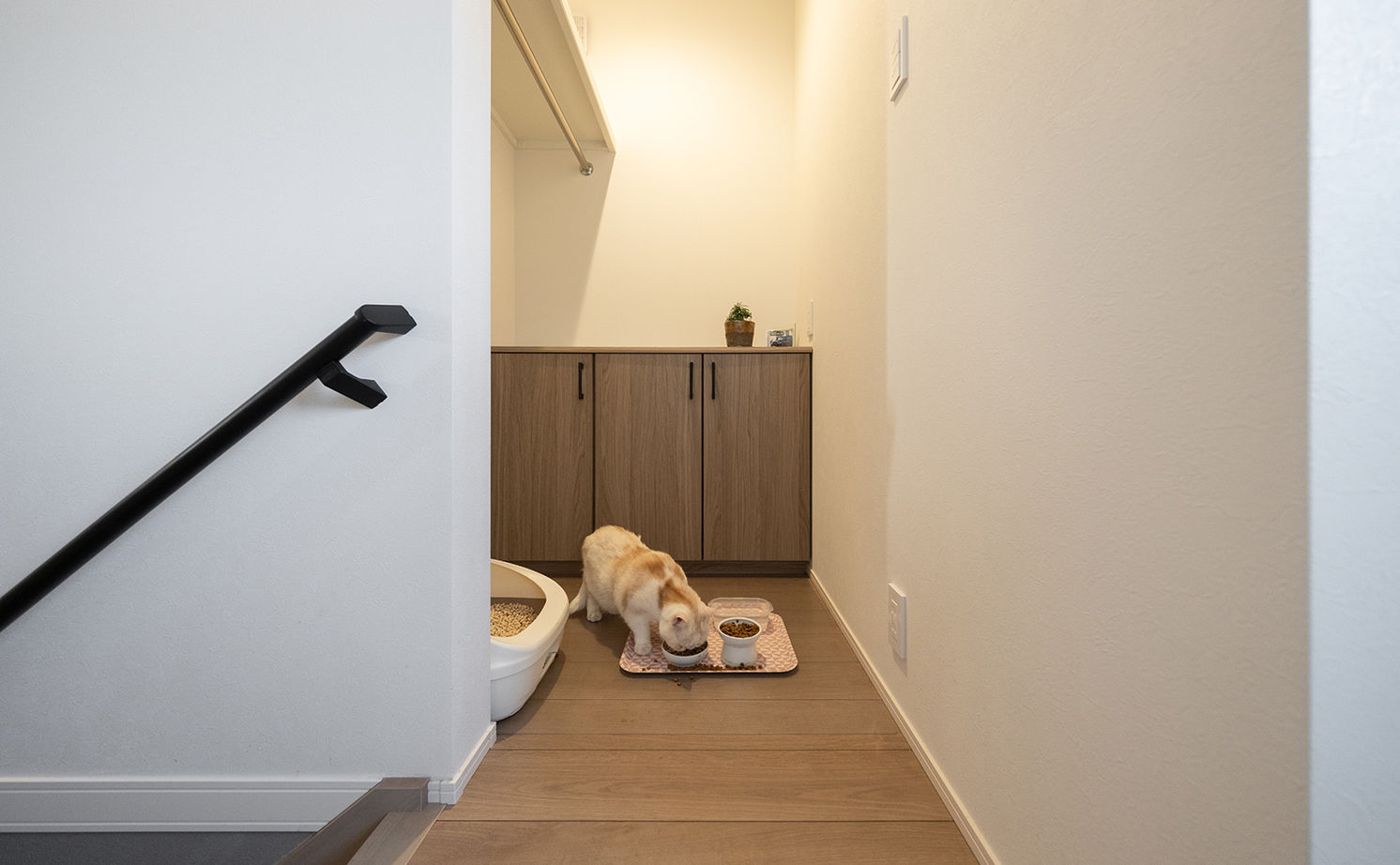 アサヒグローバルホーム 【1000万円台/間取り/30坪台/回遊導線】土間リビングと庭がつながる平屋のように暮らせるアウトドア2階建ての建築実例画像19