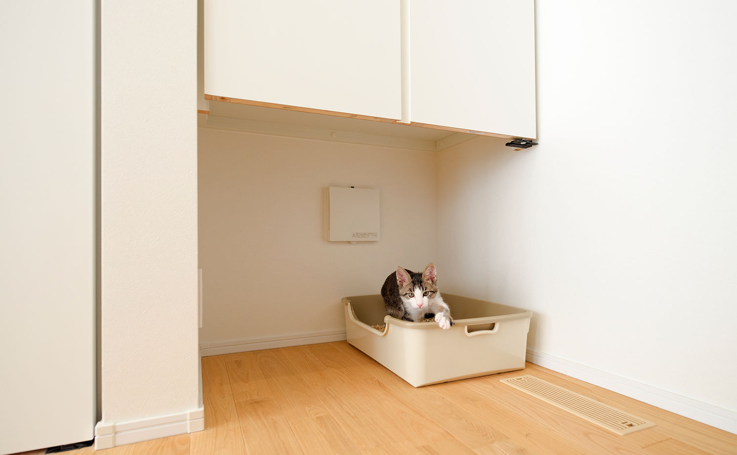 アサヒグローバルホーム 【2000万円台/間取り/30坪台/坪庭/海外風】上はワークスペース、下は漫画コーナーのスキップフロアの家の建築実例画像17