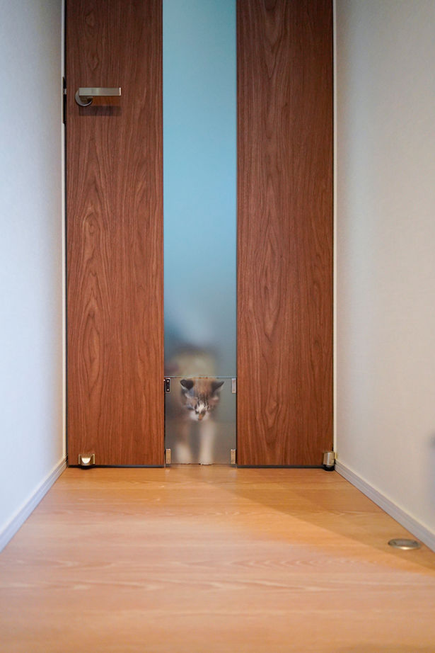 アサヒグローバルホーム 【2000万円台/間取り/30坪台/インナーガレージ】妥協ナシ！ホームジム×秘密基地がある大空間ガレージハウスの建築実例画像16